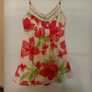 Hollister Tank